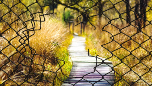 Consultez notre dossier Youmanity !