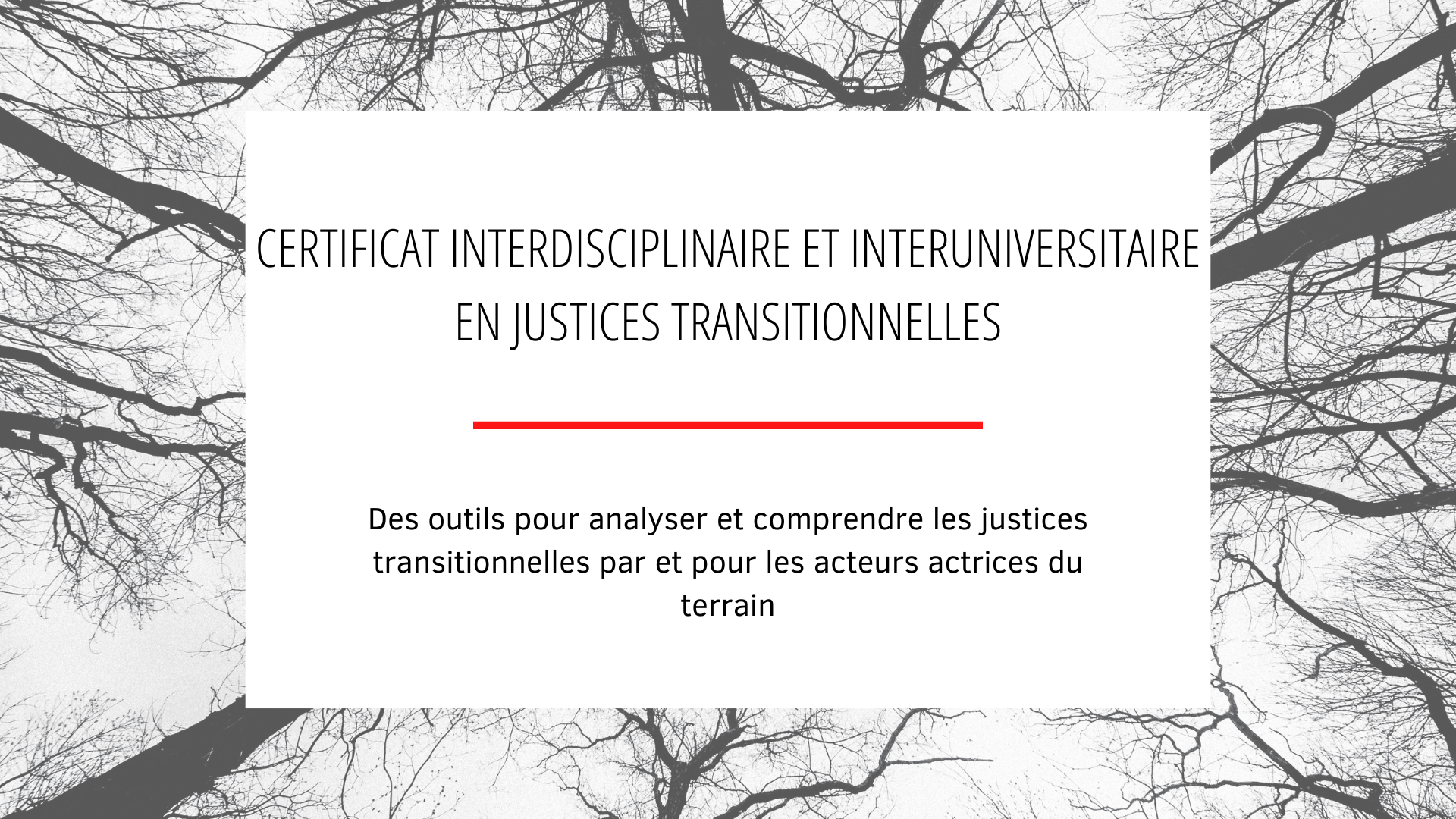 RCN Justice & Démocratie partenaire du certificat interdisciplinaire en Justices transitionnelles